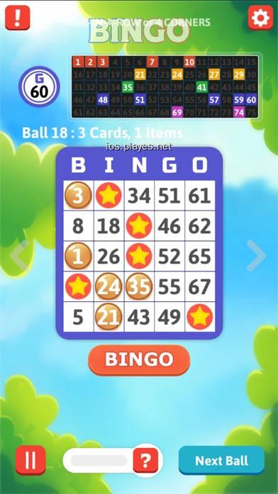 bingo游戏网址（bingo游戏汉化版）